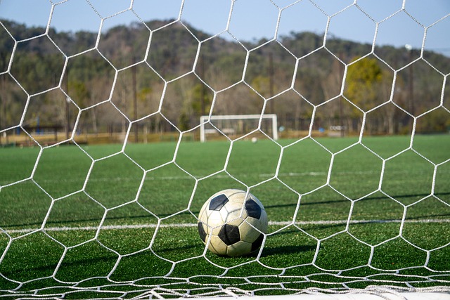 与赛车运动 与赛车运动