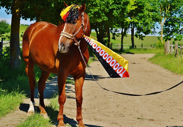 成功並不是 成功並不是