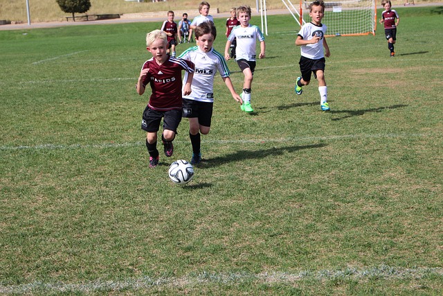 都将聚焦于 都将聚焦于