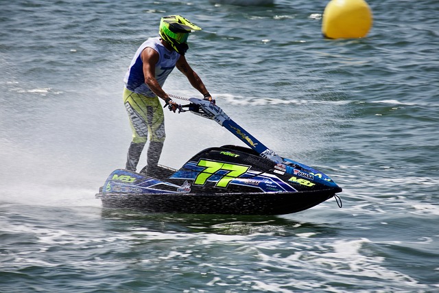 效的市场秩 效的市场秩